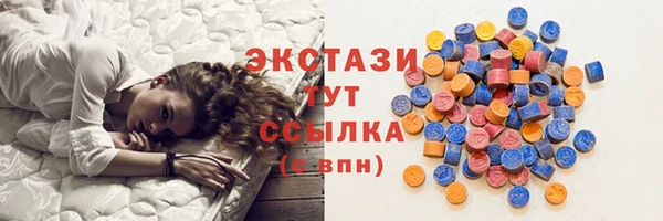 стафф Ельня