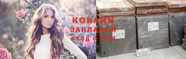 молекула духа Елабуга