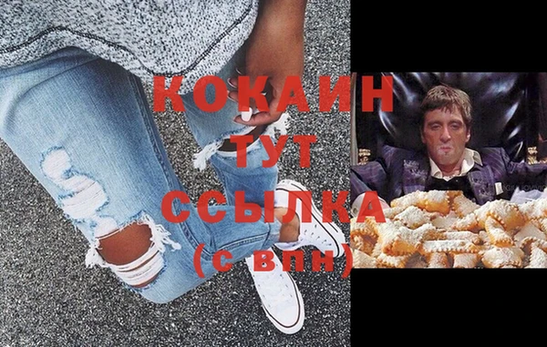стафф Ельня
