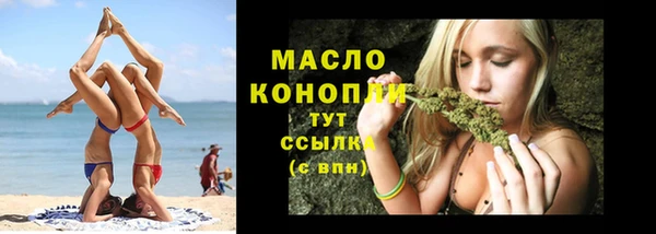 стафф Ельня