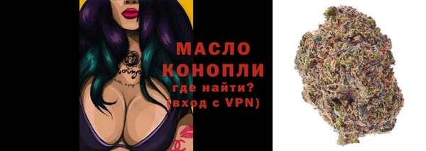 молекула духа Елабуга