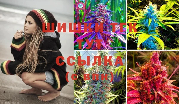 стафф Ельня