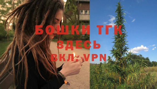 молекула духа Елабуга