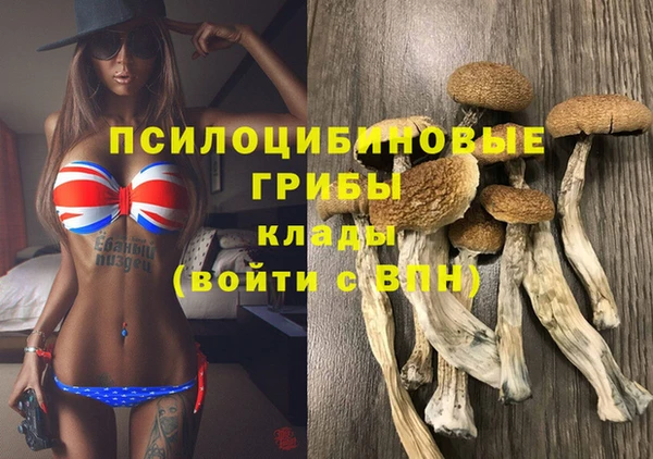 молекула духа Елабуга