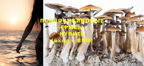 молекула духа Елабуга