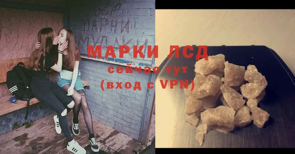 молекула духа Елабуга