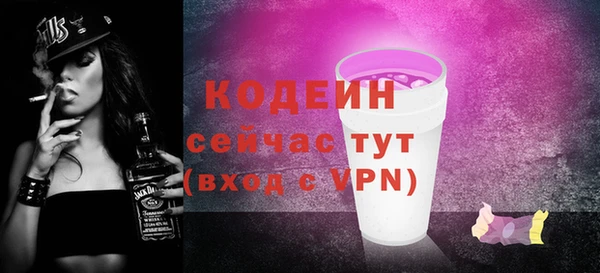 стафф Ельня