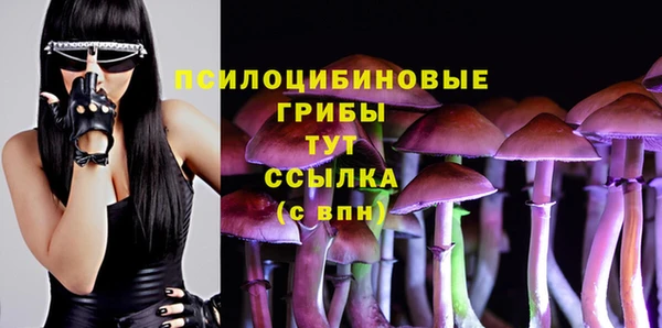стафф Ельня