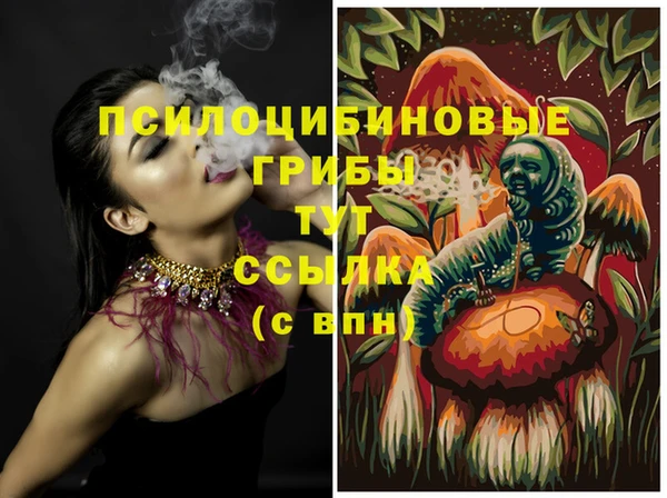 mdpv Елизово
