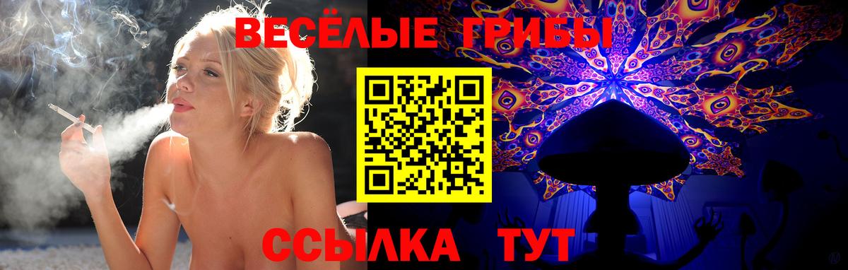 Дмитров  Псилоцибиновые грибы MAGIC MUSHROOMS  Вход с VPN 