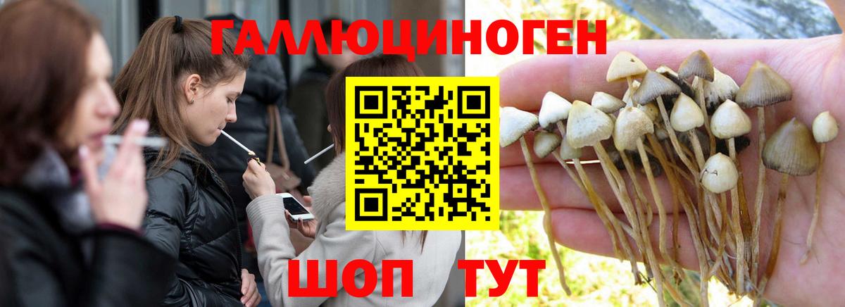 Галлюциногенные грибы Magic Shrooms Дмитров